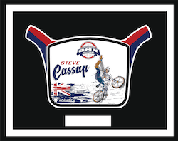 Steve Cassap HOF induction plate
